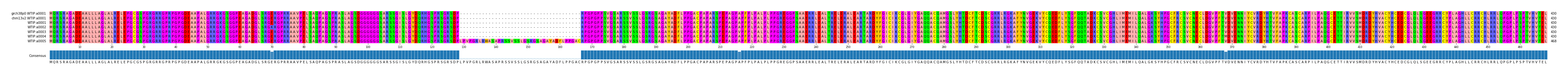 Multiple Alignments (by translate haplotype frequency)