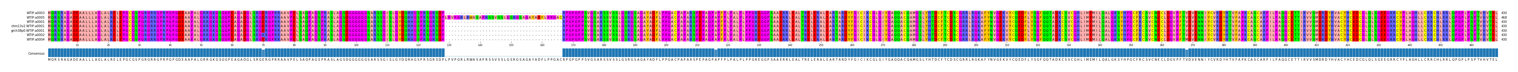 Multiple Alignments (by translate haplotype similarity)