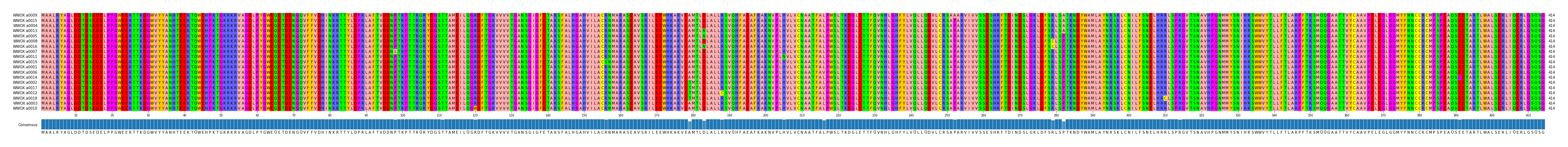 Multiple Alignments (by translate haplotype similarity)