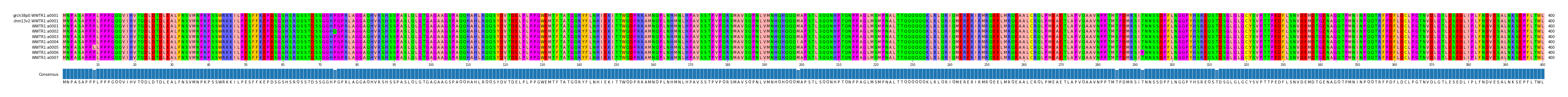 Multiple Alignments (by translate haplotype frequency)