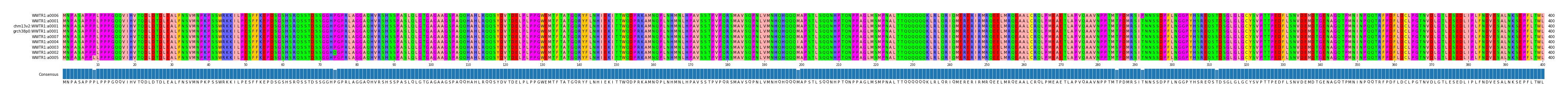 Multiple Alignments (by translate haplotype similarity)