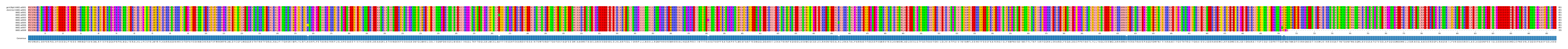 Multiple Alignments (by translate haplotype frequency)