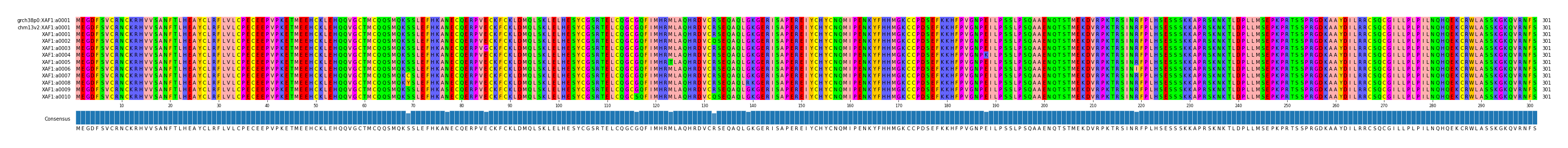 Multiple Alignments (by translate haplotype frequency)