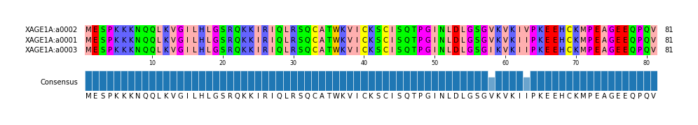 Multiple Alignments (by translate haplotype similarity)