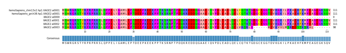 Multiple Alignments (by translate haplotype frequency)