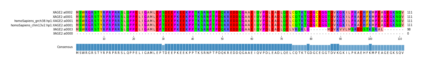 Multiple Alignments (by translate haplotype similarity)