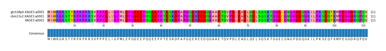 Multiple Alignments (by translate haplotype similarity)