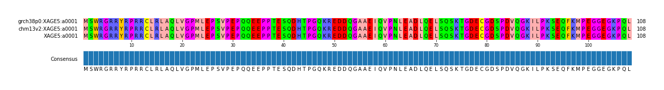 Multiple Alignments (by translate haplotype similarity)