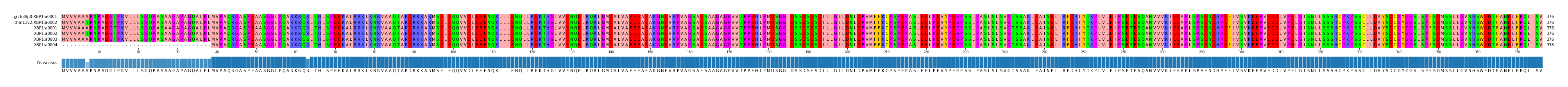 Multiple Alignments (by translate haplotype frequency)