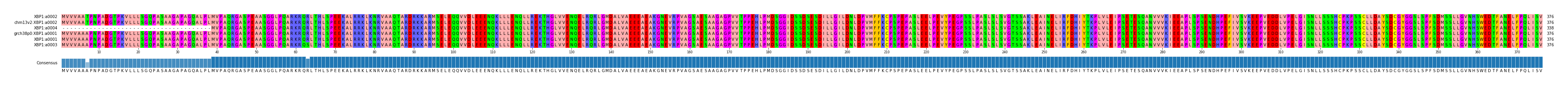 Multiple Alignments (by translate haplotype similarity)