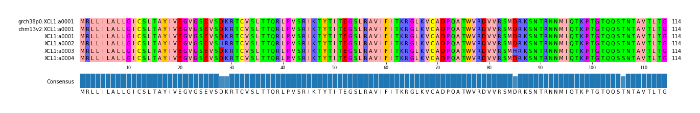 Multiple Alignments (by translate haplotype frequency)