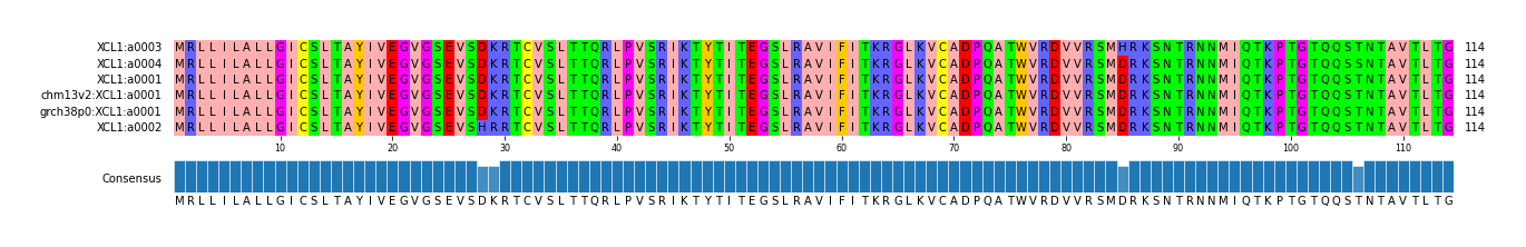 Multiple Alignments (by translate haplotype similarity)