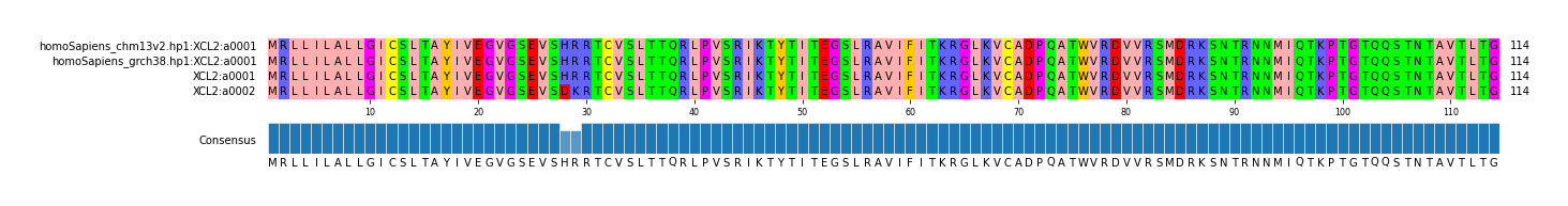 Multiple Alignments (by translate haplotype similarity)