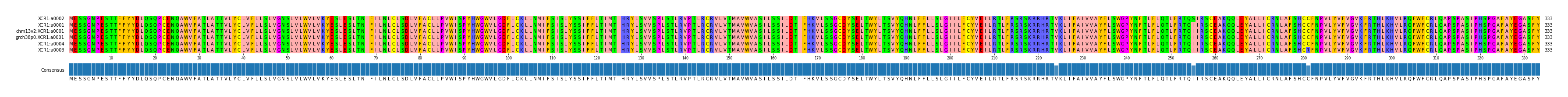 Multiple Alignments (by translate haplotype similarity)