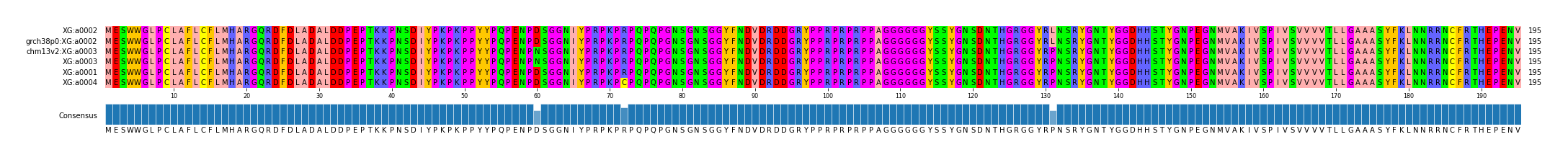 Multiple Alignments (by translate haplotype similarity)
