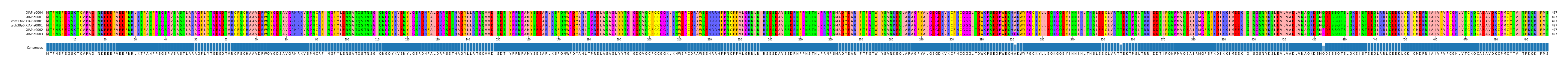 Multiple Alignments (by translate haplotype similarity)