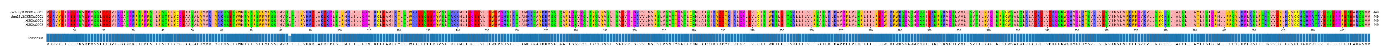 Multiple Alignments (by translate haplotype similarity)