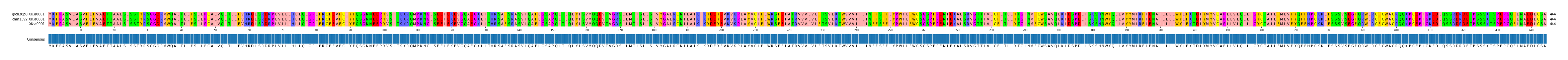 Multiple Alignments (by translate haplotype similarity)