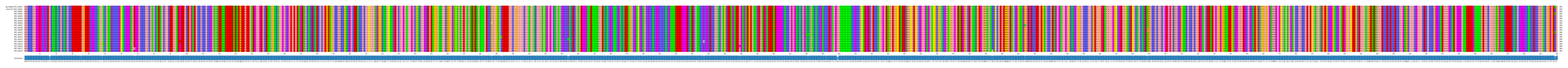 Multiple Alignments (by translate haplotype frequency)