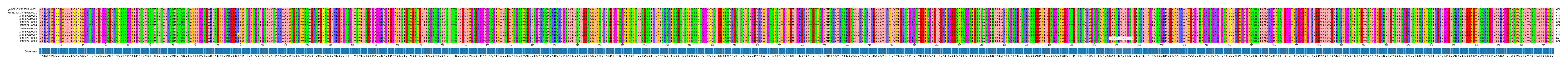 Multiple Alignments (by translate haplotype frequency)