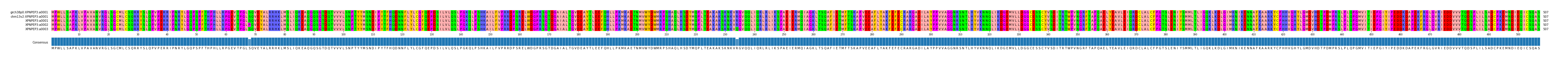 Multiple Alignments (by translate haplotype frequency)
