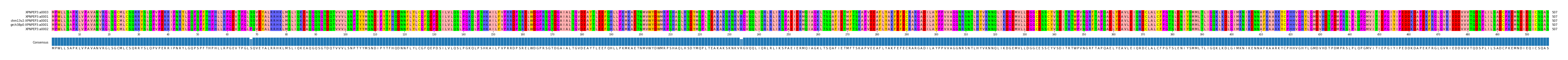 Multiple Alignments (by translate haplotype similarity)