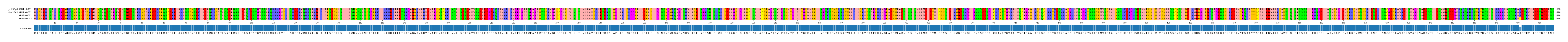 Multiple Alignments (by translate haplotype frequency)