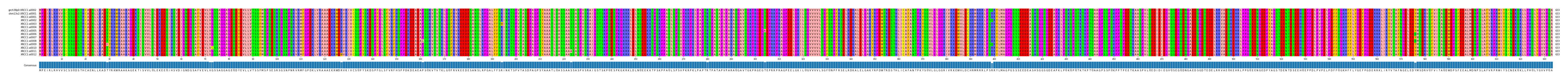 Multiple Alignments (by translate haplotype frequency)