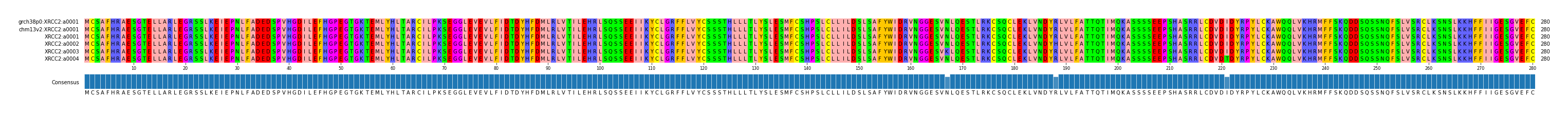 Multiple Alignments (by translate haplotype frequency)