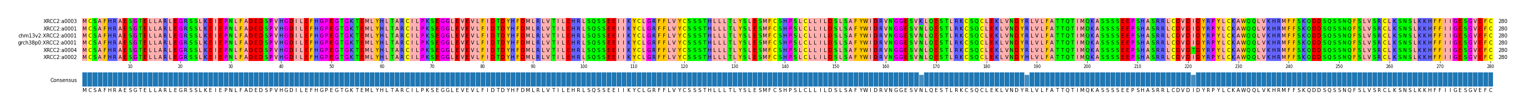 Multiple Alignments (by translate haplotype similarity)