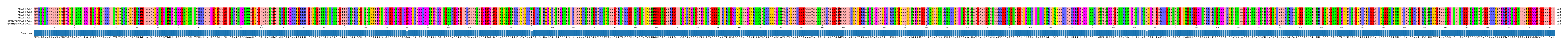 Multiple Alignments (by translate haplotype similarity)