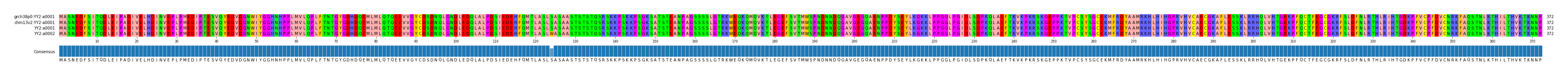 Multiple Alignments (by translate haplotype similarity)