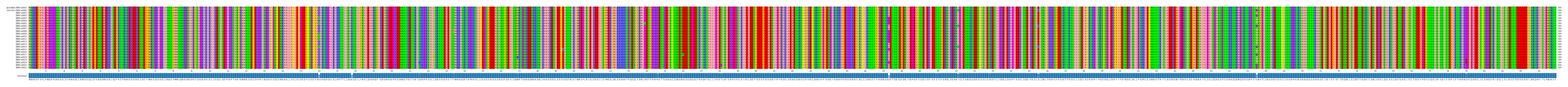 Multiple Alignments (by translate haplotype frequency)