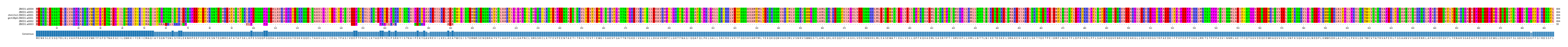 Multiple Alignments (by translate haplotype similarity)