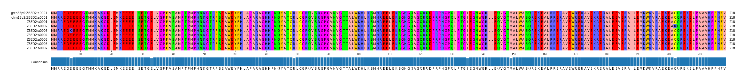 Multiple Alignments (by translate haplotype frequency)