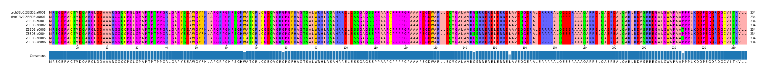 Multiple Alignments (by translate haplotype frequency)