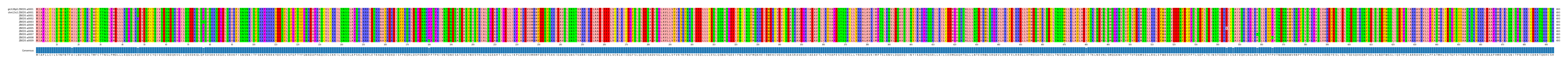 Multiple Alignments (by translate haplotype frequency)