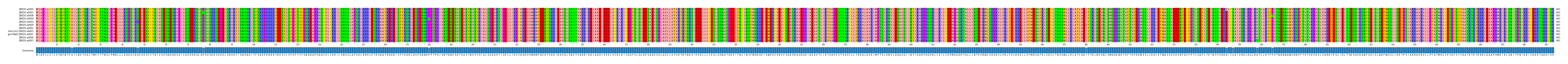 Multiple Alignments (by translate haplotype similarity)