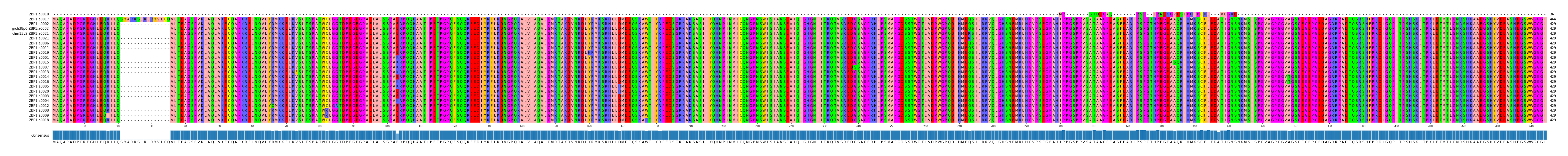 Multiple Alignments (by translate haplotype similarity)