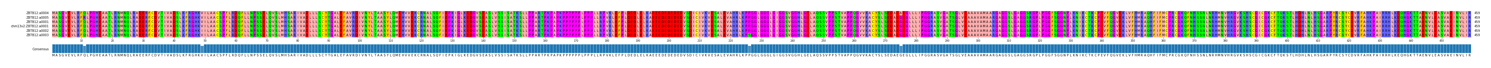 Multiple Alignments (by translate haplotype similarity)