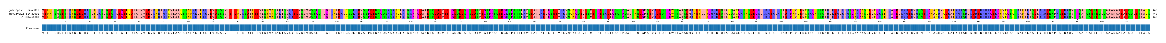 Multiple Alignments (by translate haplotype similarity)