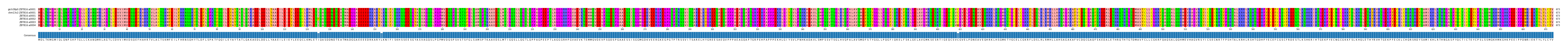 Multiple Alignments (by translate haplotype frequency)