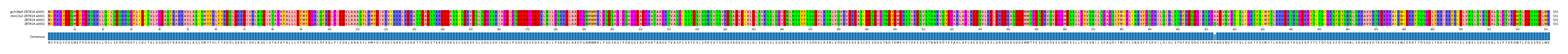 Multiple Alignments (by translate haplotype similarity)