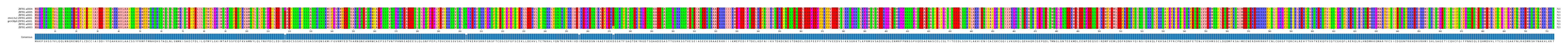 Multiple Alignments (by translate haplotype similarity)
