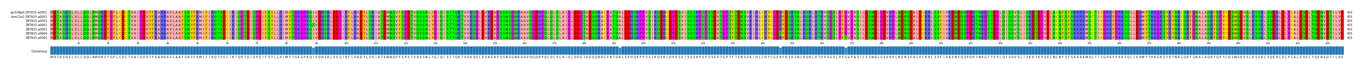 Multiple Alignments (by translate haplotype frequency)