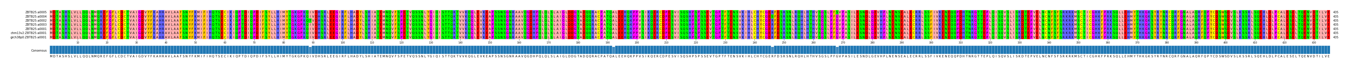 Multiple Alignments (by translate haplotype similarity)