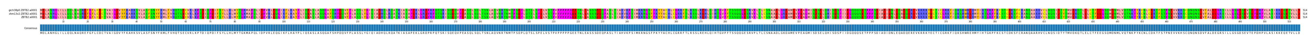 Multiple Alignments (by translate haplotype frequency)