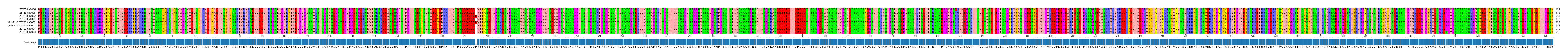 Multiple Alignments (by translate haplotype similarity)