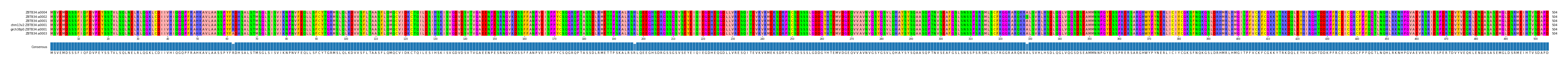 Multiple Alignments (by translate haplotype similarity)