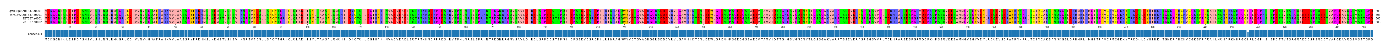 Multiple Alignments (by translate haplotype similarity)